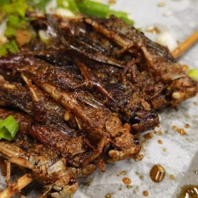 Locust Skewers (10 Packs x 20 Skewers)